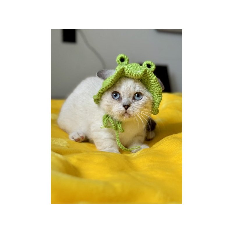 Munchkin Alva Naytiri