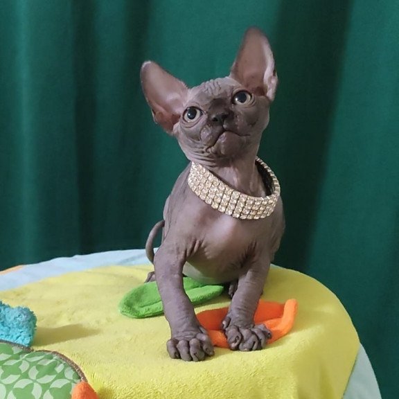 Sphynx EZ Luna Noir