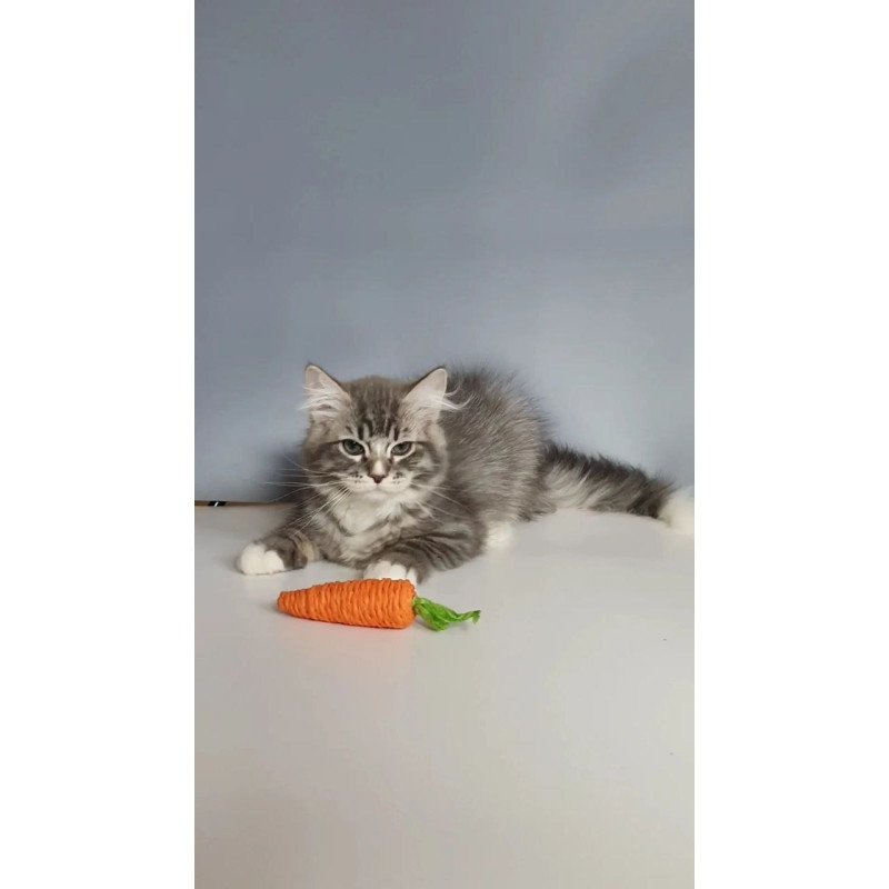 Siberian REZ Charm