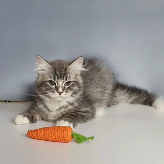Siberian REZ Charm