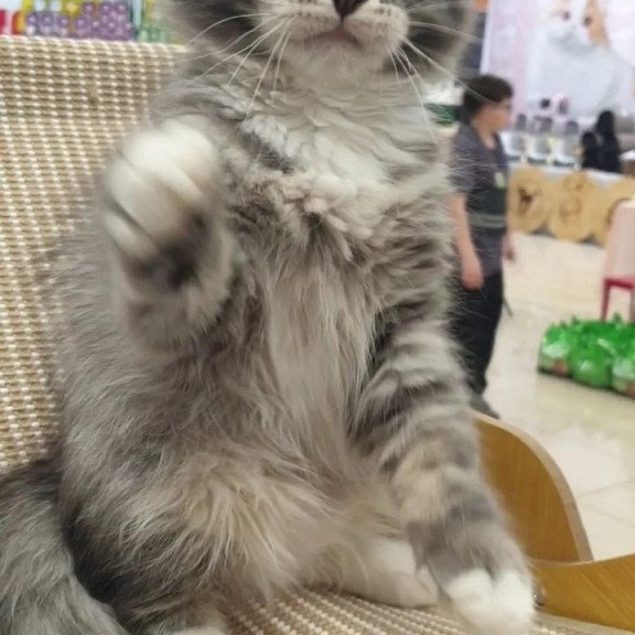 Siberian REZ Charm