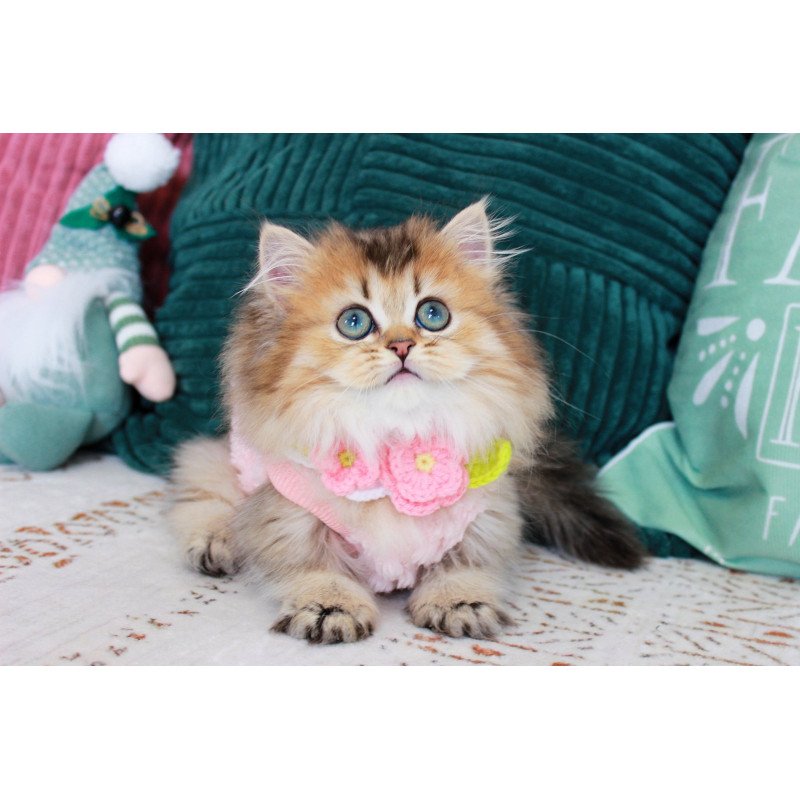Munchkin EZ Jasmine