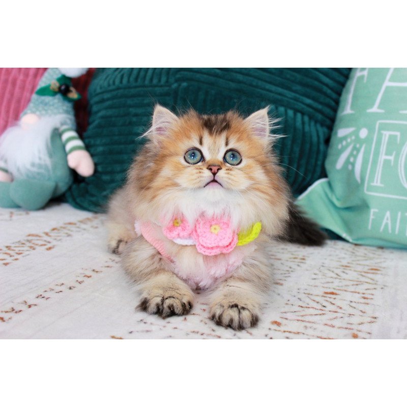 Munchkin EZ Jasmine