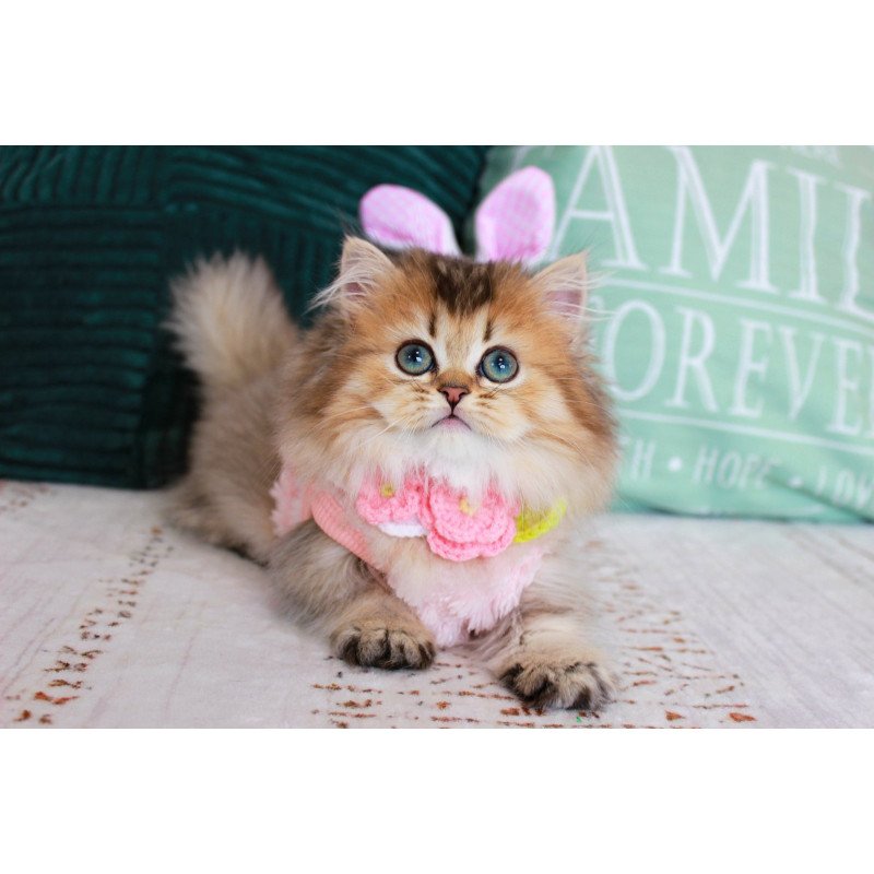 Munchkin EZ Jasmine