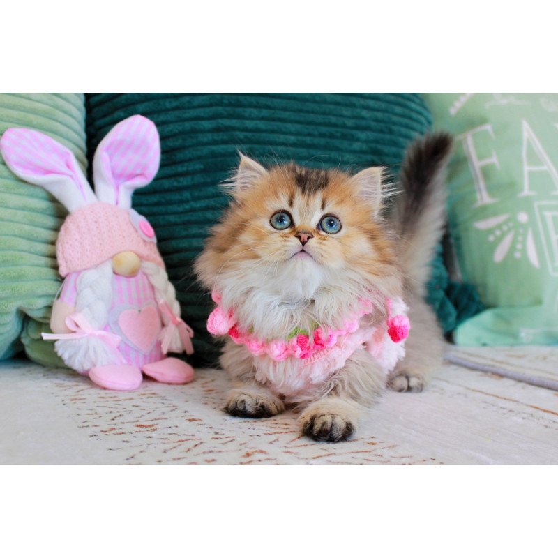 Munchkin EZ Jasmine