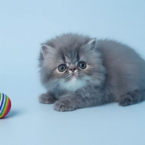 Persian A Topaz