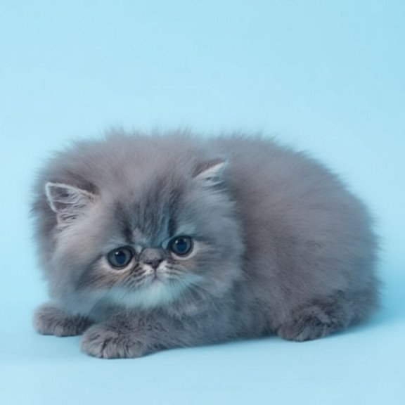 Persian A Topaz