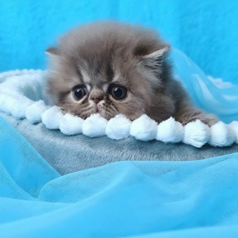 Persian A Topaz