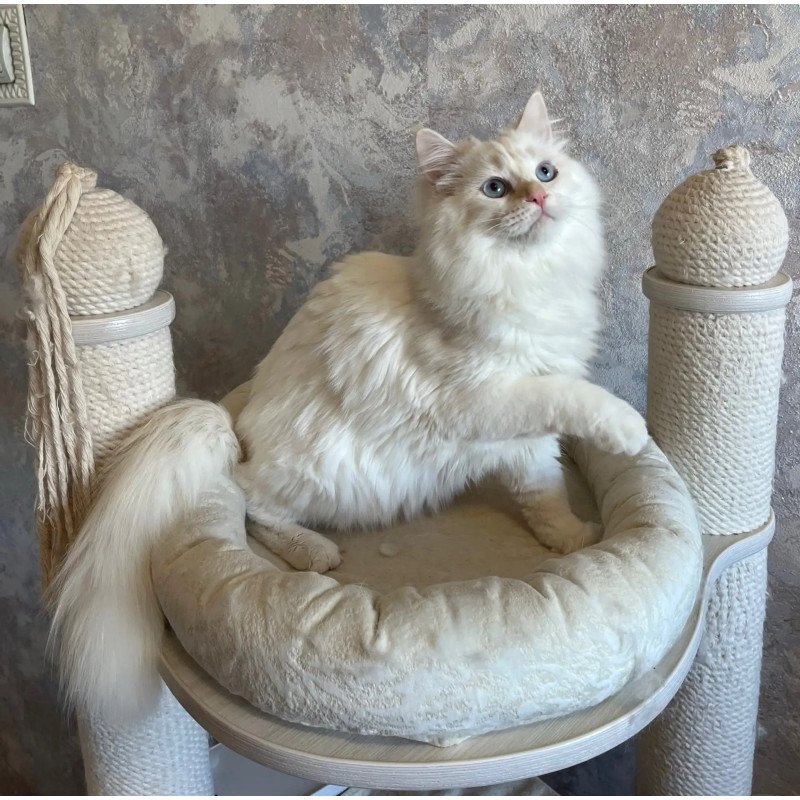 Siberian REZ Zveroboy