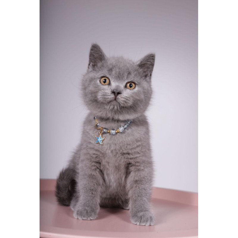 British Foster