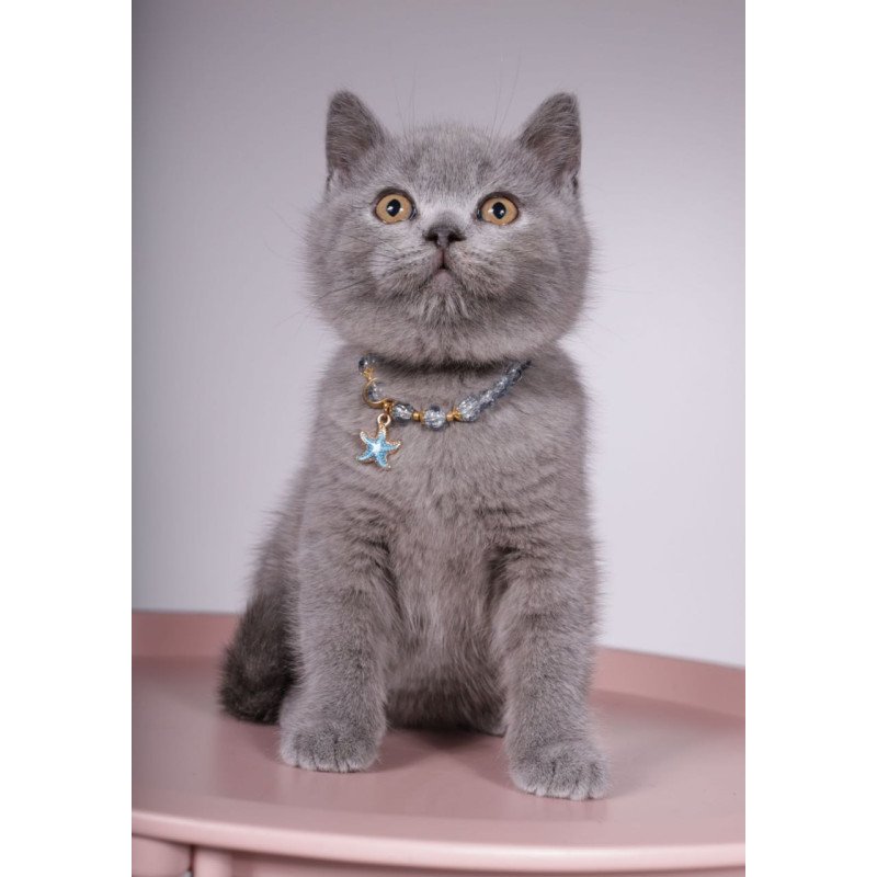 British Foster