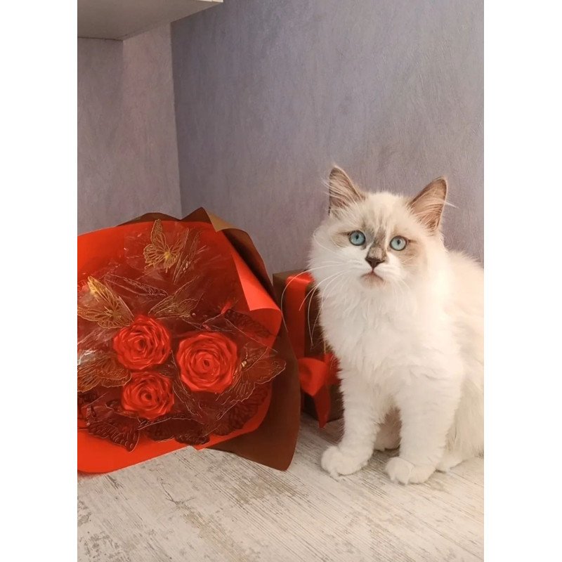 Siberian REZ Liliya
