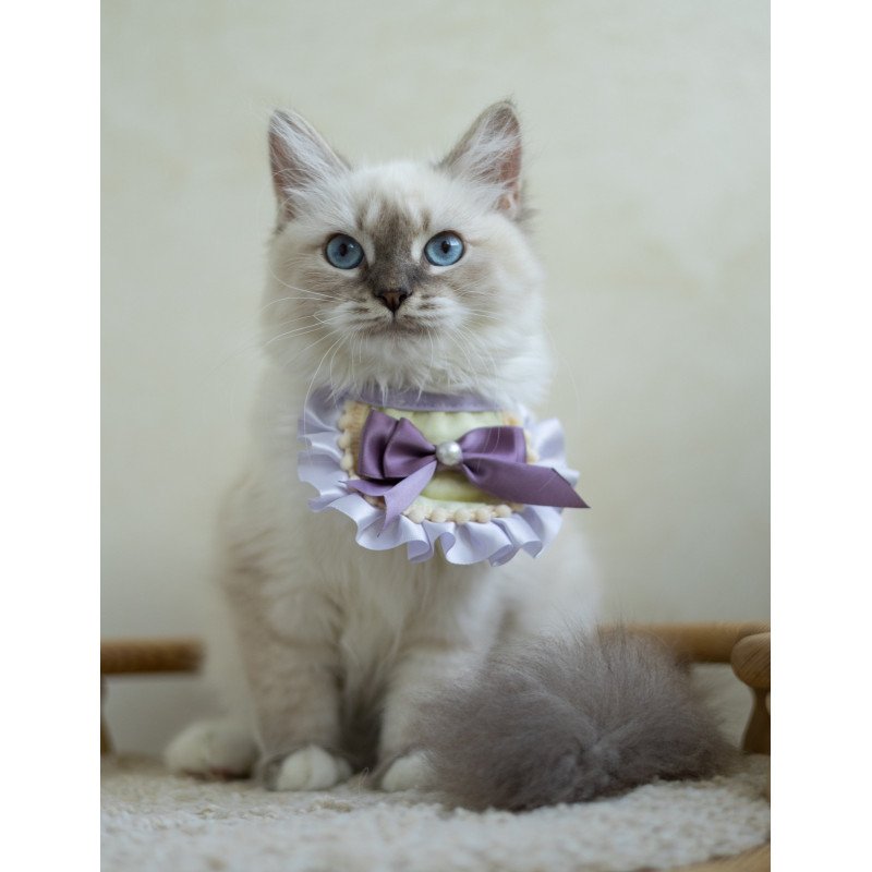 Siberian NOV Helena