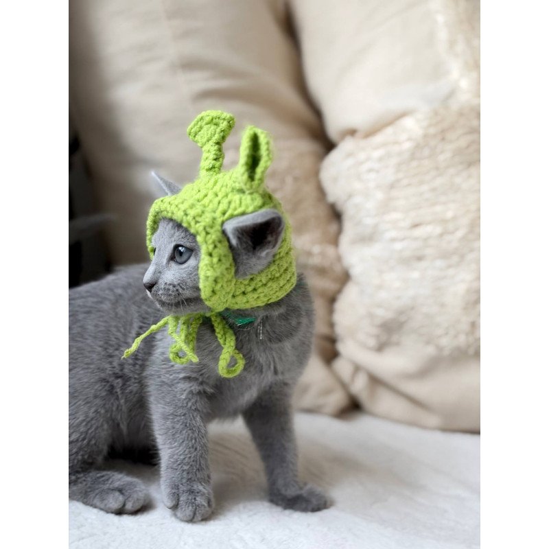 Russian Blue Nanny