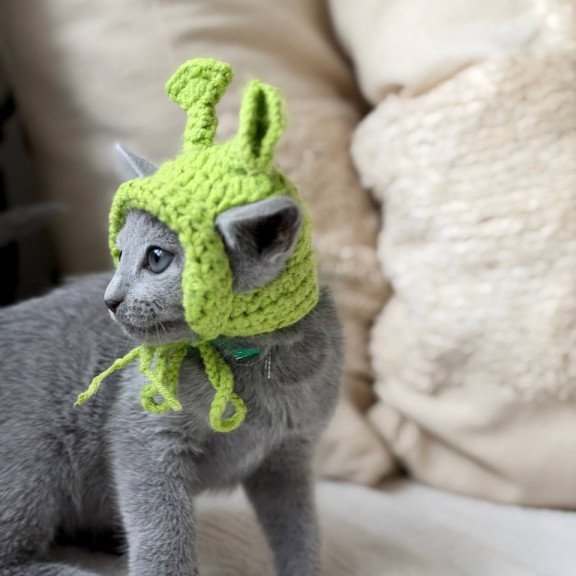 Russian Blue Nanny