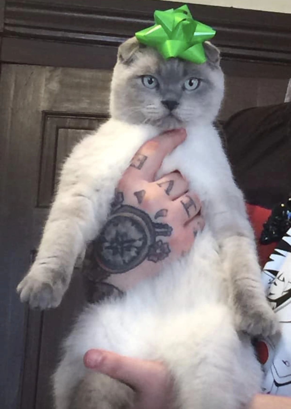 Happy customer with pet
