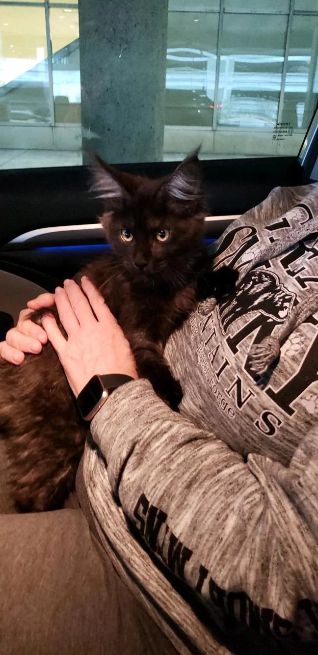 Happy customer with pet