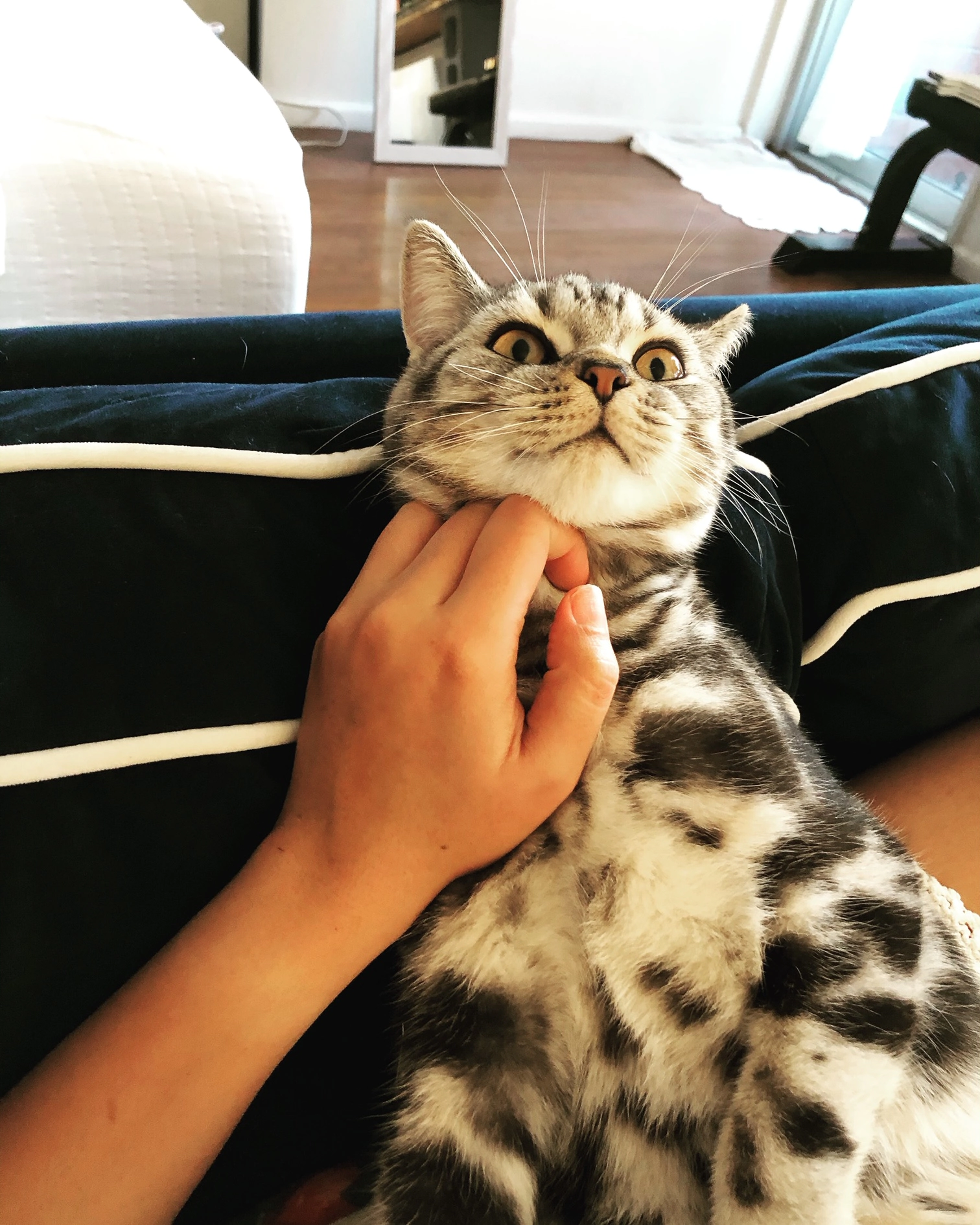 Happy customer with pet