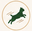 Active & Energetic